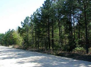 205 Chuck Ellis Rd, Portal, GA 30450