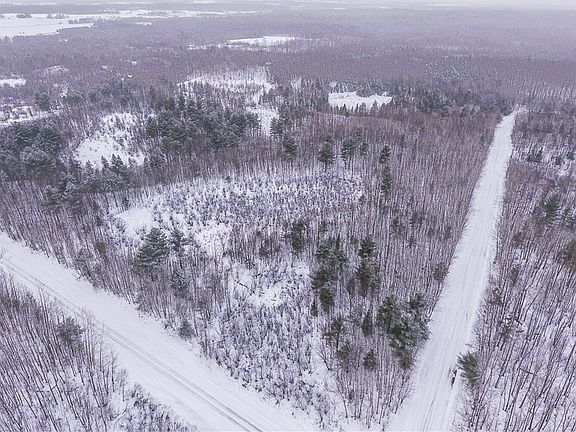 4th image of 38 Acres Pinewood Drive