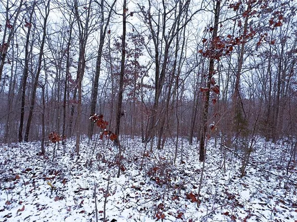 0 Foxtrot Rd, Cadet, MO 63630