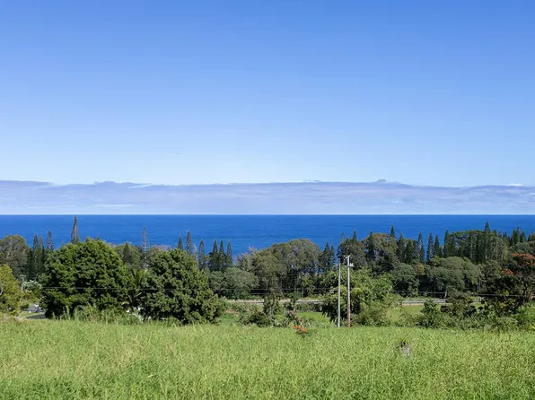 28-1813 Old Mamalahoa Hwy, Honomu, HI 96728