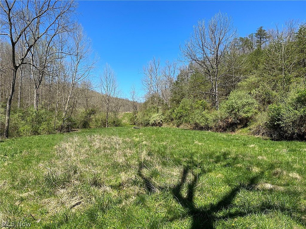 731 Fall Run Rd, Walker, WV 26180 MLS 5011606 Zillow