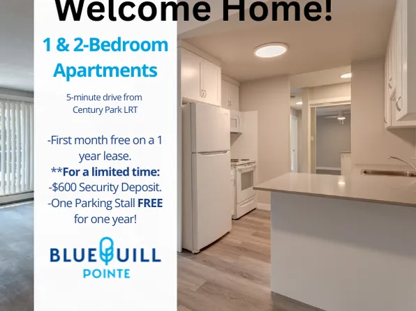 Blue Quill Pointe