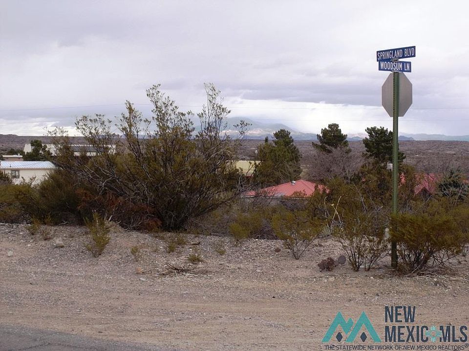 1st image of Springland Blvd