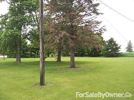 Side yard and back yard