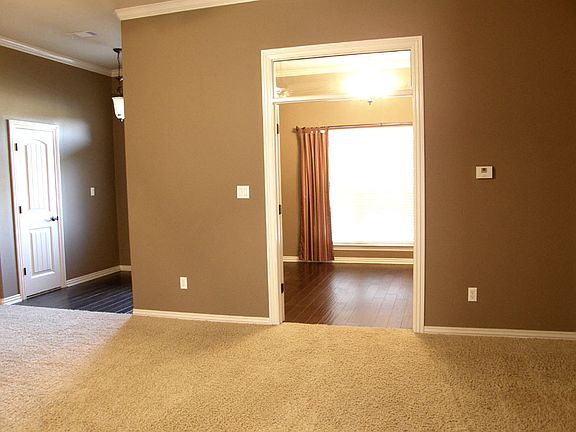 VIEW INTO THE DEN