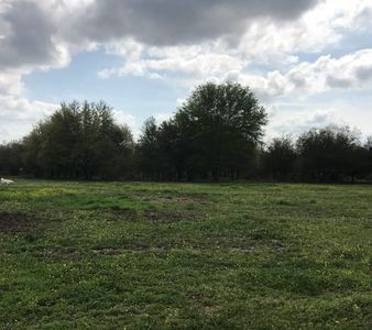 0 Blarey Ln, Kemp, TX, 75143