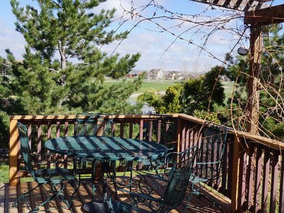 Pergola with mature grapes