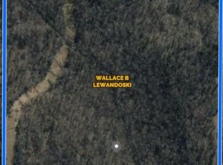 336 W High Way, Clinton, AR 72031