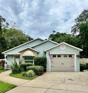2021 Donnelly Pl, Mount Dora, FL, 32757