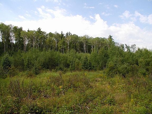 esker - high point on land 