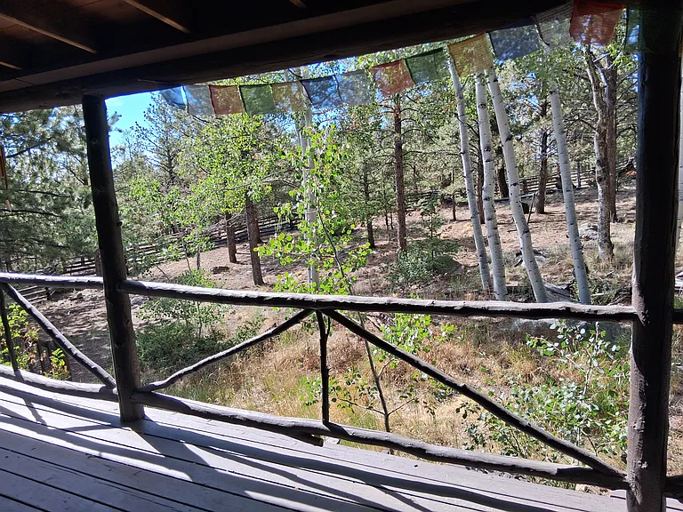 Wapiti Cir — Photo 22