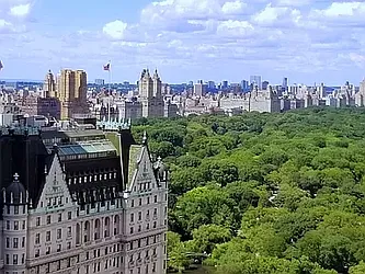 Rented by Domus Realty