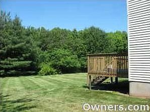 Lush green backyard of the house