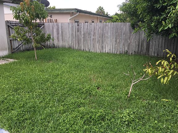 Back yard