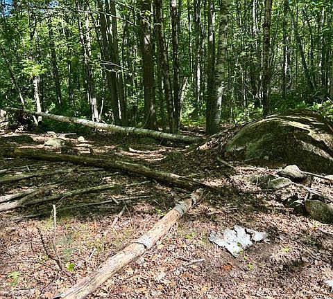 4th image of #56 S South Waterboro Road