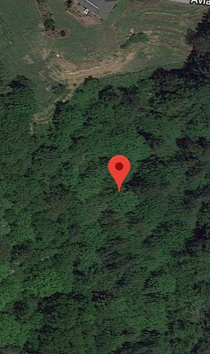 1st image of 445 Wishman Dr