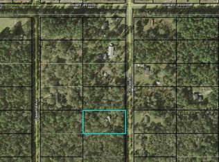 10445 Erickson Ave, Hastings, FL 32145