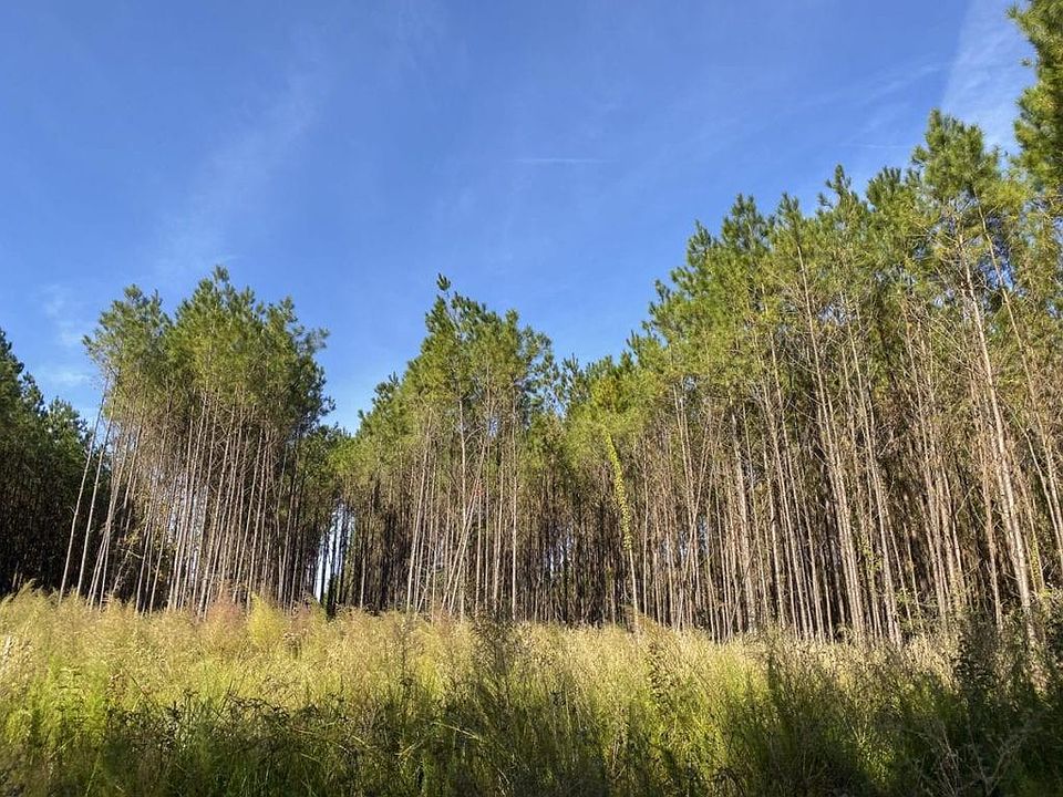 1st image of County Road 1150