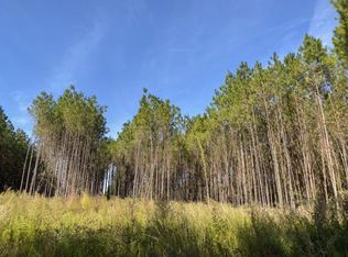 County Road 1150, Woodville, TX 75979