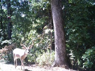 10932 Georgia Flat Rd, Gravette, AR 72736