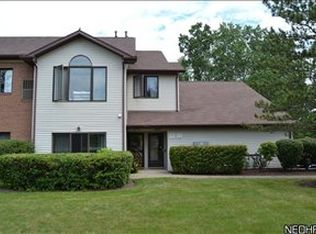 7111 Village Dr #7111, Mentor, OH 44060