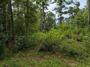 161 Ludies Dr, Livingston, TX 77351