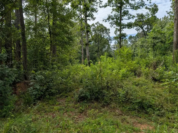 161 Ludies Dr, Livingston, TX 77351