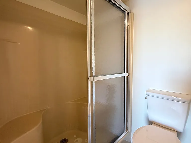 Primary Bath walk-in shower
