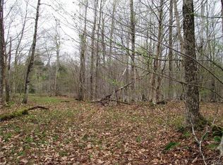 138 Maple Ridge Rd #6, Redfield, NY 13437