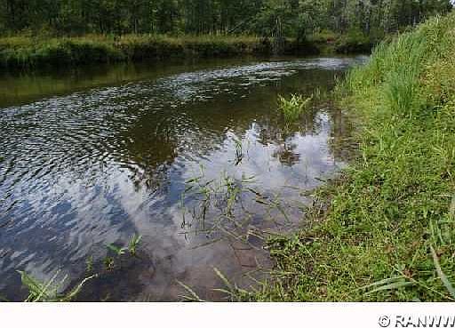 1st image of Lot 4 Manotick Lane