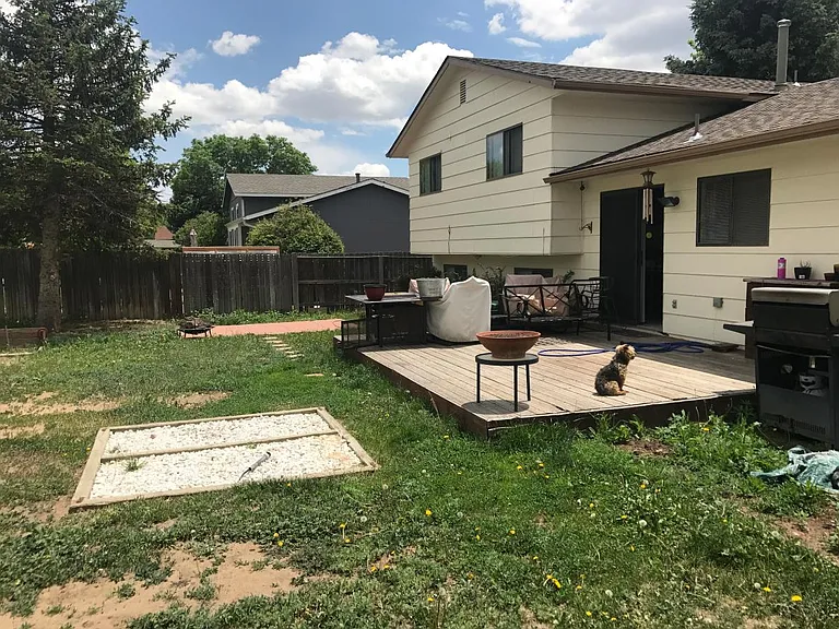 backyard