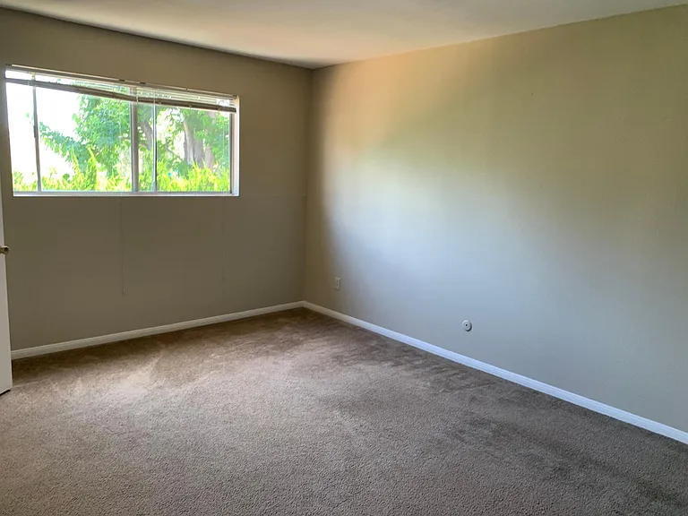 7804 Camino Tranquilo — Photo 22