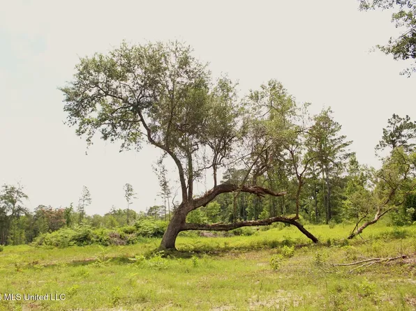 2448AC River Rd, Lucedale, MS 39452