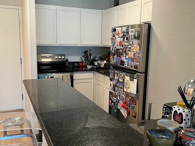 777 N Michigan Ave #2507 — Photo 3