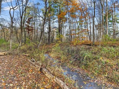 0 Burdick Hill Rd, Ithaca, NY, 14850