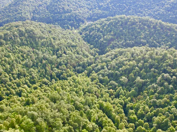 9999 Fields Fork Rd, Viper, KY 41774