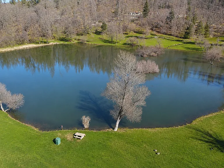 Trout Lake
