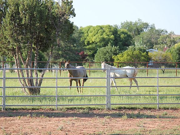 Three gates and pipe fencing