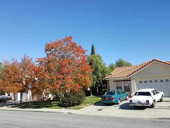 Street Side