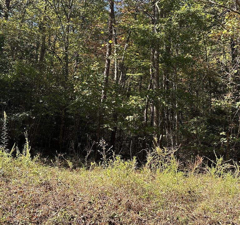 2nd image of 0 Panther Top Rd
