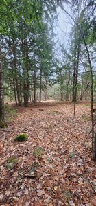 lot 3 Great Brook Drive Drive, Orono, ME, 04473