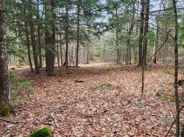 lot 3 Great Brook Drive Drive, Orono, ME 04473