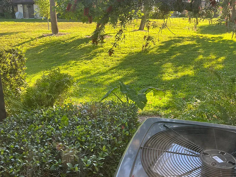 View from the window