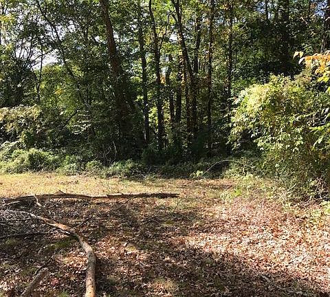 5th image of 31879 River Bend Ln