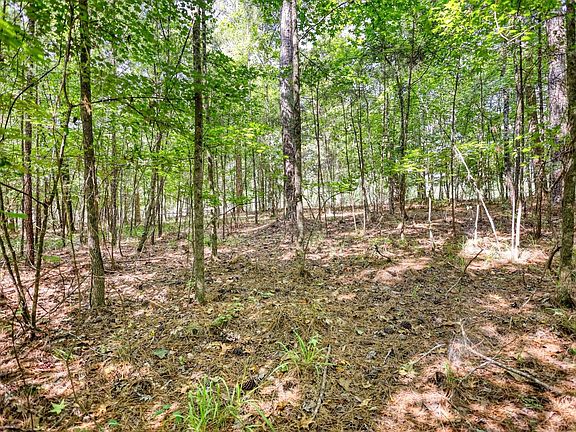 3rd image of 0 Long Shoals Dr #54