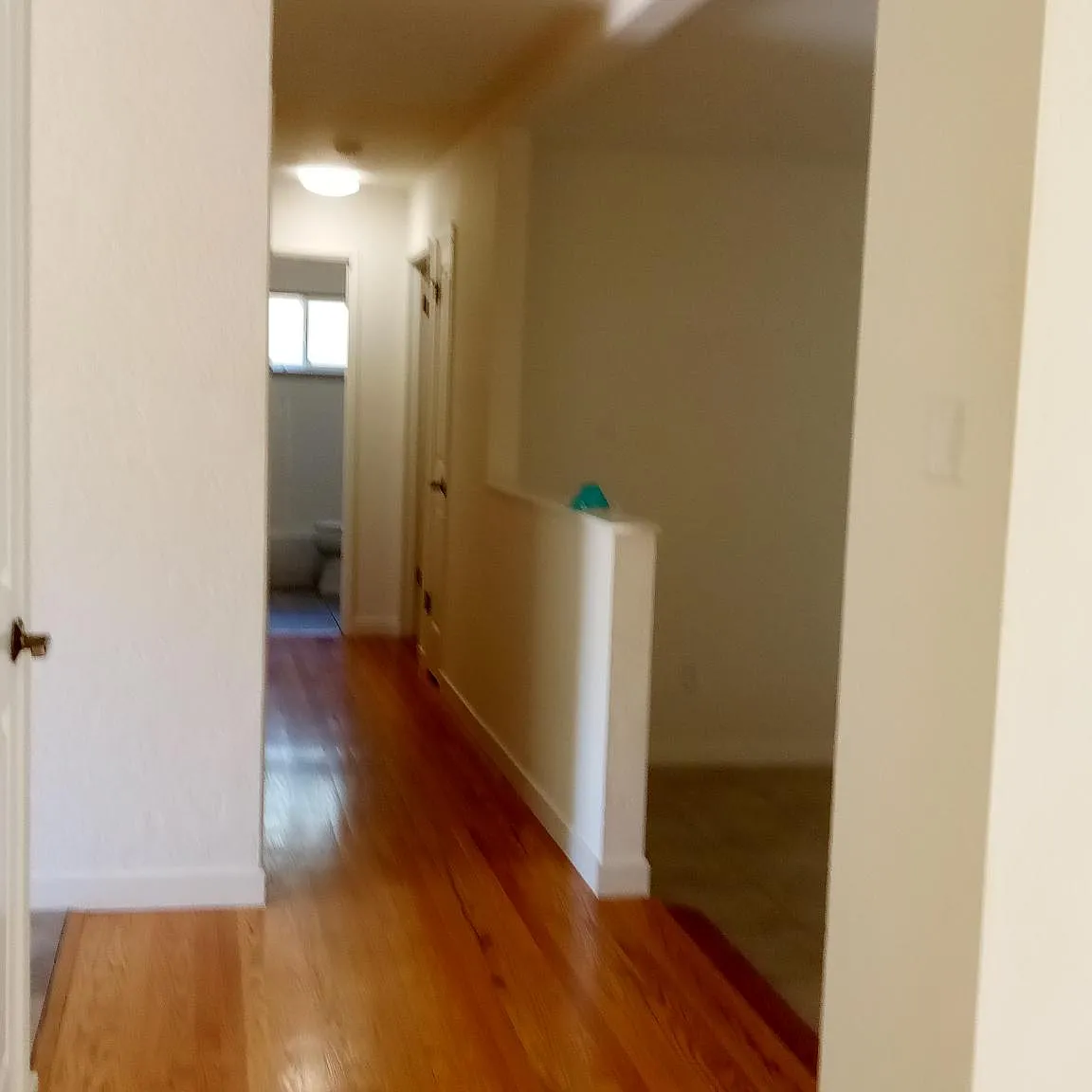 4 bed, 1677 sqft, $4,645 — Photo 3