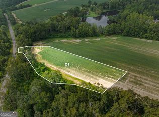0 Miller Street Ext LOT 21, Statesboro, GA 30458