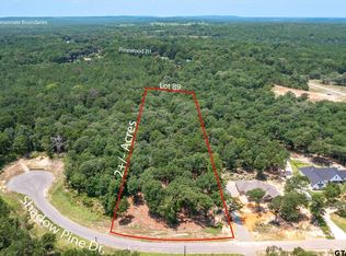 3109 Shadow Pine Dr, Larue, TX 75770