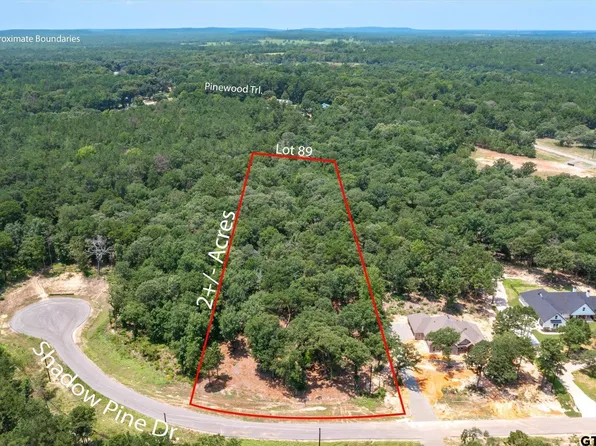 3109 Shadow Pine Dr, Larue, TX 75770