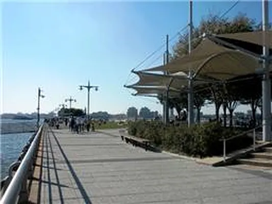 Rented by Douglas Elliman | media 34